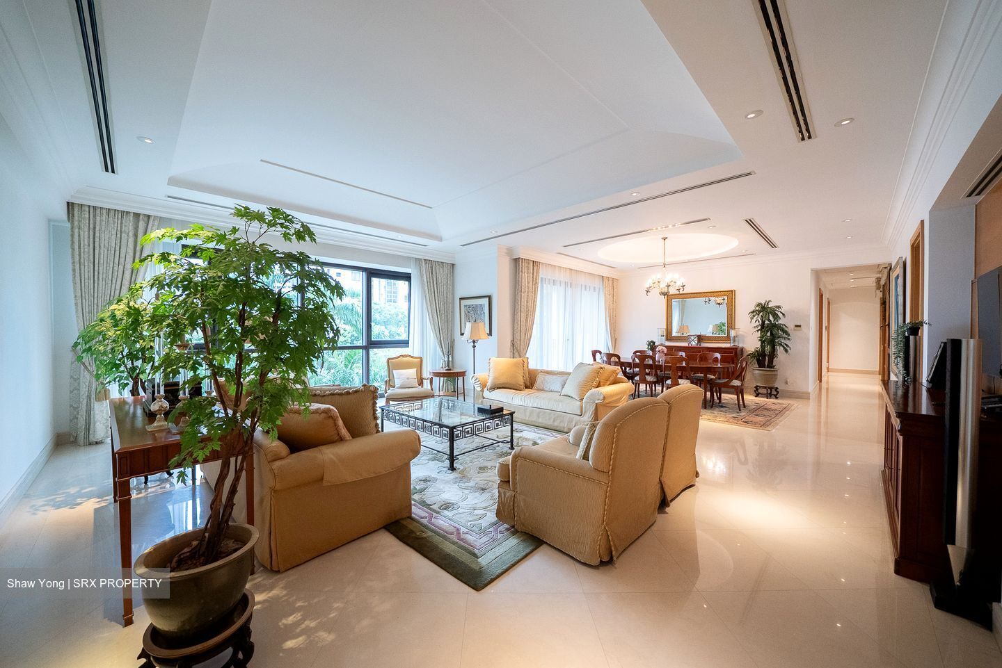 Ardmore Park (D10), Condominium #551357351